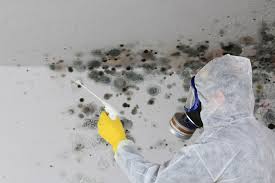 Mold Remediation for Rental Properties in Biscayne Park, FL